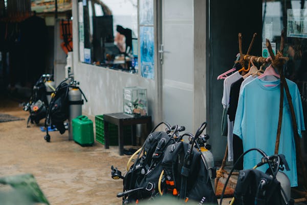 pexels-photo-31613786